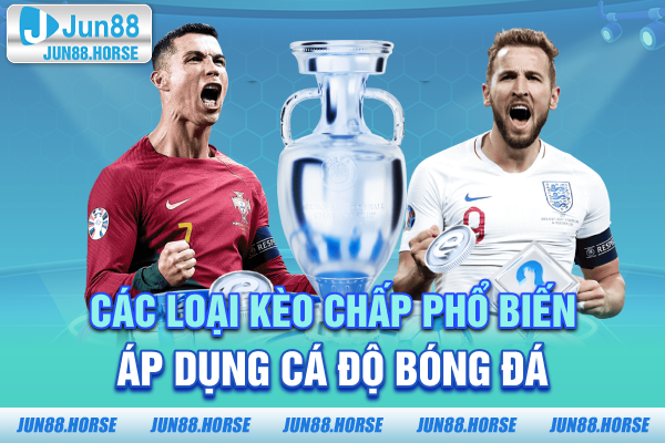 2-cac-loai-keo-chap-pho-bien-ap-dung-ca-do-bong-da Các loại kèo chấp phổ biến áp dụng cá độ bóng đá