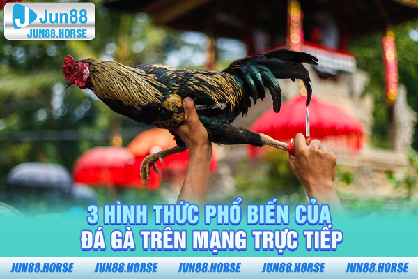 3-hinh-thuc-pho-bien-cua-da-ga-tren-mang-truc-tiep 3 hình thức phổ biến của đá gà trên mạng trực tiếp