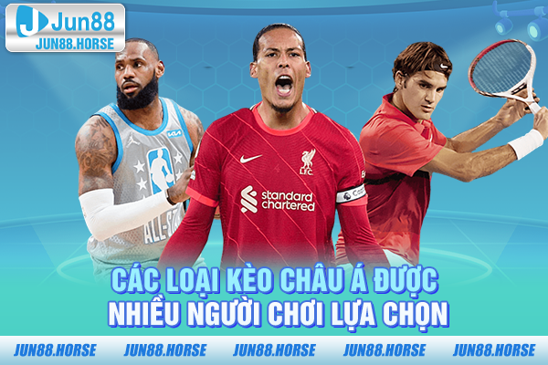 cac-loai-keo-chau-a-duoc-nhieu-nguoi-choi-lua-chon Các loại kèo châu Á được nhiều người chơi lựa chọn