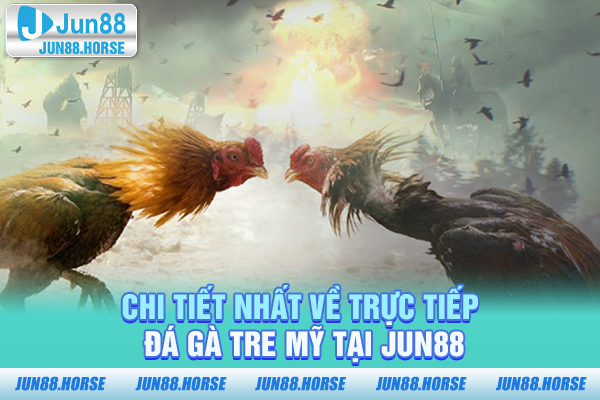 chi-tiet-nhat-ve-truc-tiep-da-ga-tre-my-tai-jun88 Chi tiết nhất về trực tiếp đá gà tre Mỹ tại JUN88