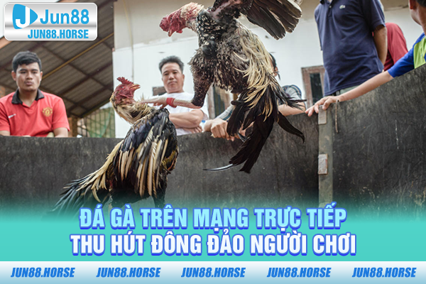 da-ga-tren-mang-truc-tiep-thu-hut-dong-dao-nguoi-choi Đá gà trên mạng trực tiếp thu hút đông đảo người chơi