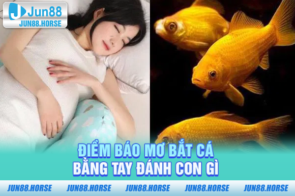 diem-bao-mo-bat-ca-bang-tay-danh-con-gi Điềm báo mơ bắt cá bằng tay đánh con gì