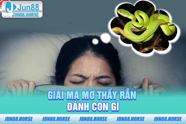 giai-ma-mo-thay-ran-danh-con-gi Giải mã mơ thấy rắn đánh con gì