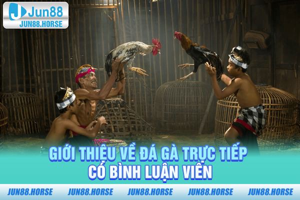 gioi-thieu-ve-da-ga-truc-tiep-co-binh-luan-vien Giới thiệu về đá gà trực tiếp có bình luận viên
