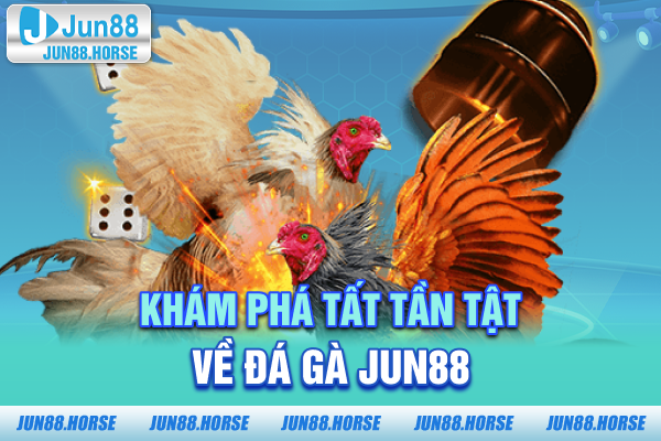 kham-pha-tat-tan-tat-ve-da-ga-jun88 Khám phá tất tần tật về đá gà JUN88