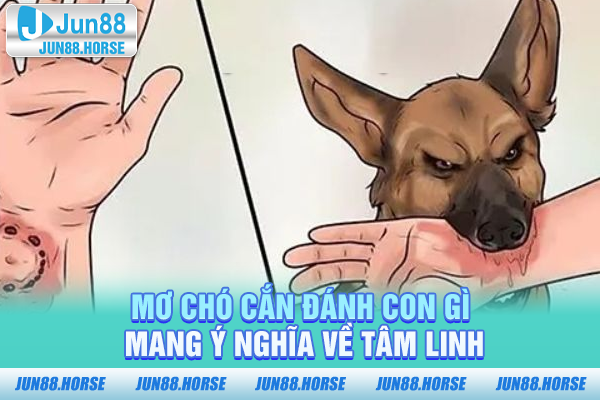mo-cho-can-danh-con-gi-mang-y-nghia-ve-tam-linh Mơ chó cắn đánh con gì mang ý nghĩa về tâm linh