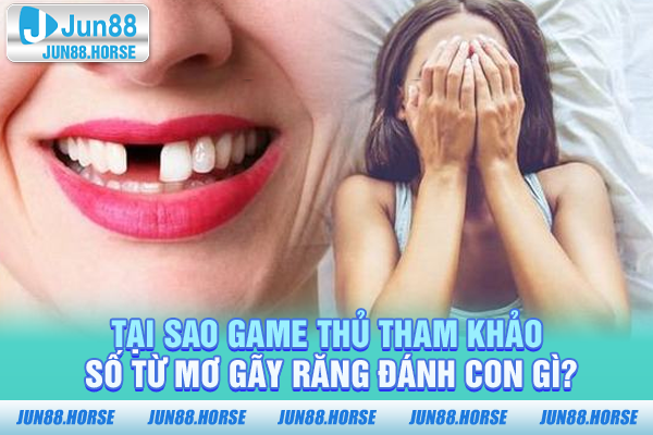 tai-sao-game-thu-tham-khao-so-tu-mo-gay-rang-danh-con-gi Tại sao game thủ tham khảo số từ mơ gãy răng đánh con gì?