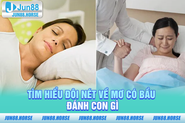 tim-hieu-doi-net-ve-mo-co-bau-danh-con-gi Tìm hiểu đôi nét về mơ có bầu đánh con gì