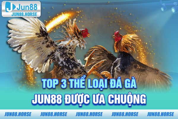 top-3-the-loai-da-ga-jun88-duoc-ua-chuong Top 3 thể loại đá gà JUN88 được ưa chuộng