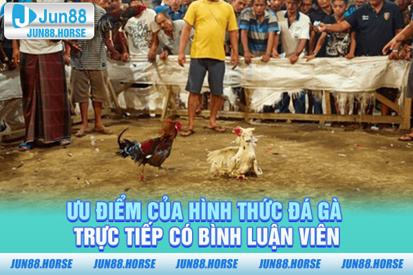 uu-diem-cua-hinh-thuc-da-ga-truc-tiep-co-binh-luan-vien Ưu điểm của hình thức đá gà trực tiếp có bình luận viên